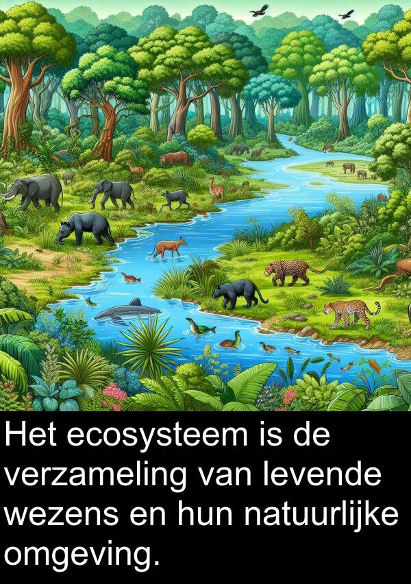 levende: Het ecosysteem is de verzameling van levende wezens en hun natuurlijke omgeving.