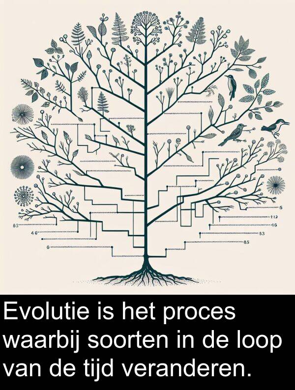 soorten: Evolutie is het proces waarbij soorten in de loop van de tijd veranderen.
