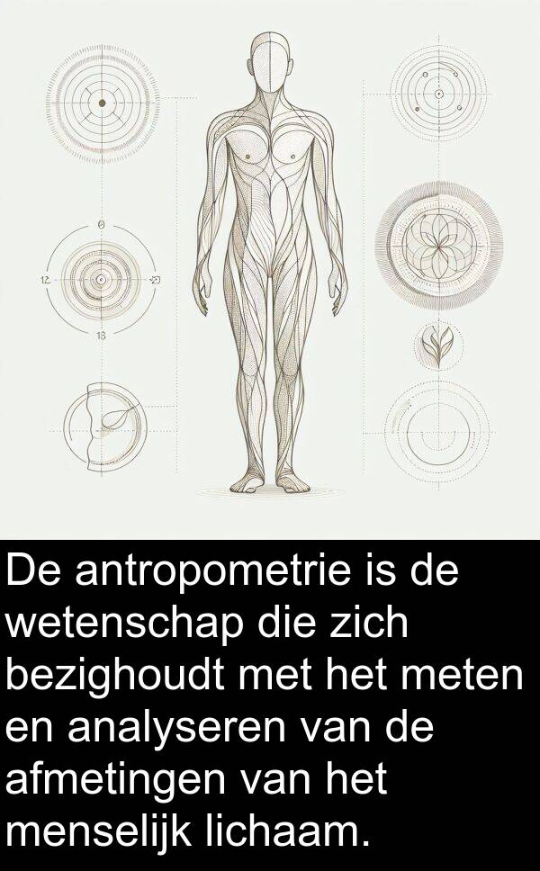 meten: De antropometrie is de wetenschap die zich bezighoudt met het meten en analyseren van de afmetingen van het menselijk lichaam.