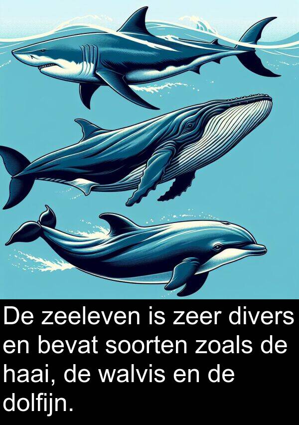 soorten: De zeeleven is zeer divers en bevat soorten zoals de haai, de walvis en de dolfijn.