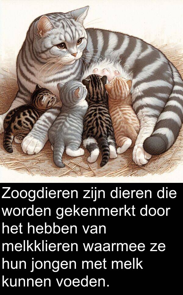 gekenmerkt: Zoogdieren zijn dieren die worden gekenmerkt door het hebben van melkklieren waarmee ze hun jongen met melk kunnen voeden.