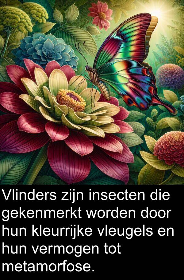gekenmerkt: Vlinders zijn insecten die gekenmerkt worden door hun kleurrijke vleugels en hun vermogen tot metamorfose.