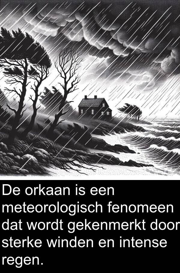 gekenmerkt: De orkaan is een meteorologisch fenomeen dat wordt gekenmerkt door sterke winden en intense regen.