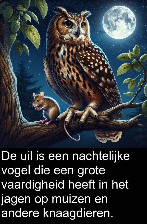 andere: De uil is een nachtelijke vogel die een grote vaardigheid heeft in het jagen op muizen en andere knaagdieren.