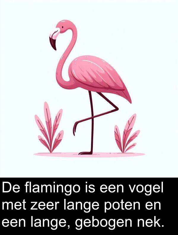 flamingo: De flamingo is een vogel met zeer lange poten en een lange, gebogen nek.