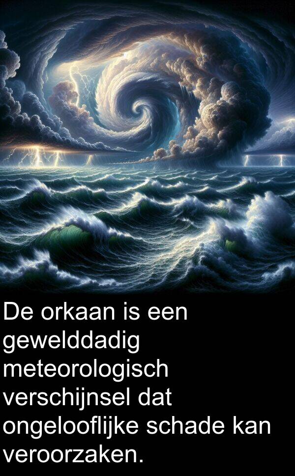 gewelddadig: De orkaan is een gewelddadig meteorologisch verschijnsel dat ongelooflijke schade kan veroorzaken.