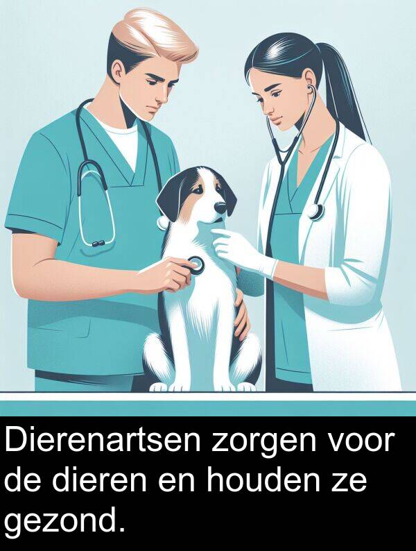 gezond: Dierenartsen zorgen voor de dieren en houden ze gezond.