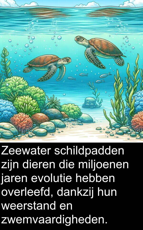weerstand: Zeewater schildpadden zijn dieren die miljoenen jaren evolutie hebben overleefd, dankzij hun weerstand en zwemvaardigheden.