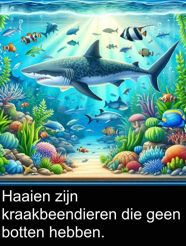 kraakbeendieren: Haaien zijn kraakbeendieren die geen botten hebben.
