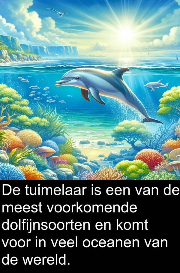 voorkomende: De tuimelaar is een van de meest voorkomende dolfijnsoorten en komt voor in veel oceanen van de wereld.