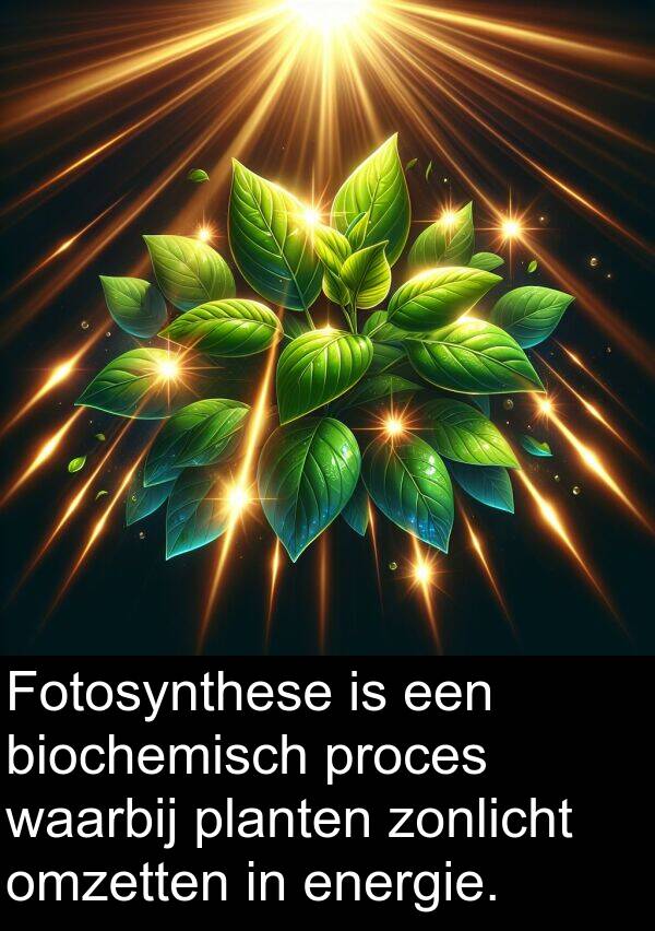 waarbij: Fotosynthese is een biochemisch proces waarbij planten zonlicht omzetten in energie.