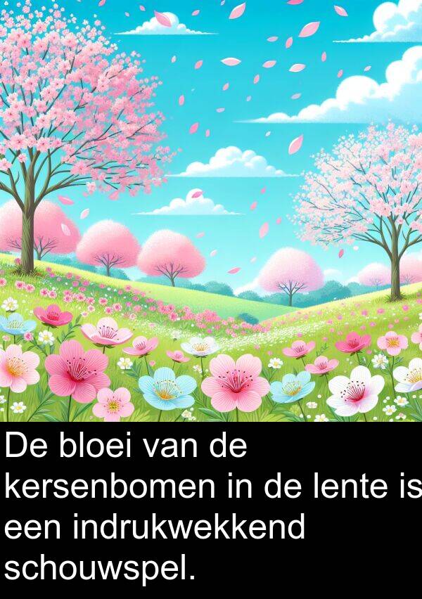 schouwspel: De bloei van de kersenbomen in de lente is een indrukwekkend schouwspel.