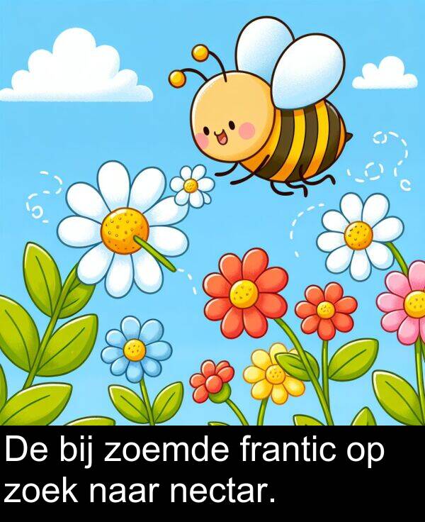 frantic: De bij zoemde frantic op zoek naar nectar.