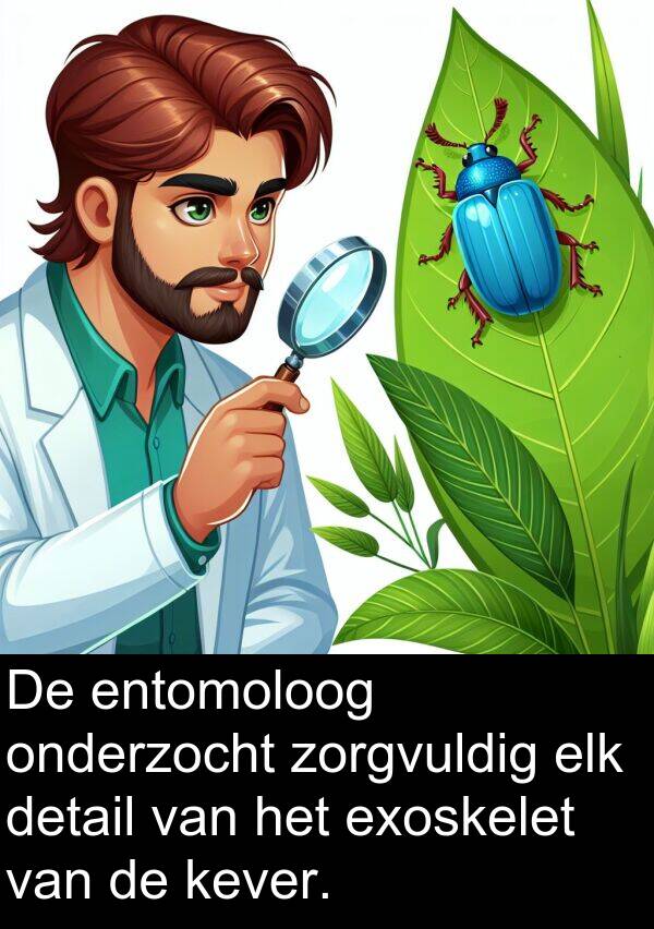 zorgvuldig: De entomoloog onderzocht zorgvuldig elk detail van het exoskelet van de kever.