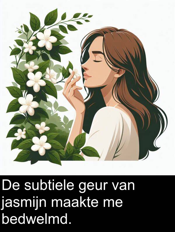 geur: De subtiele geur van jasmijn maakte me bedwelmd.