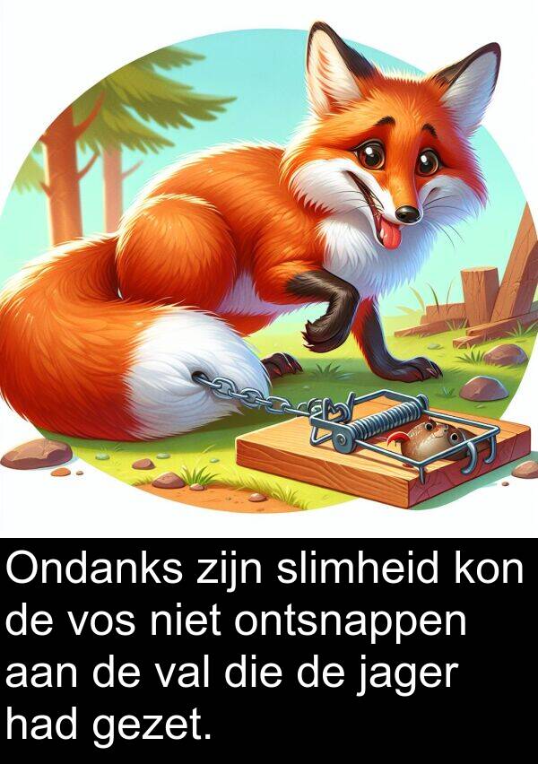 gezet: Ondanks zijn slimheid kon de vos niet ontsnappen aan de val die de jager had gezet.