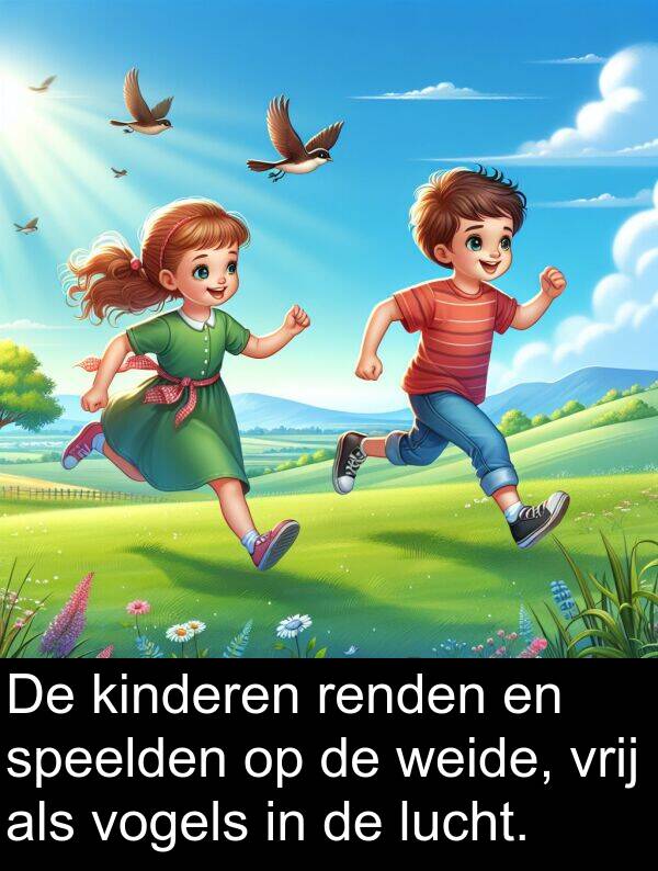 lucht: De kinderen renden en speelden op de weide, vrij als vogels in de lucht.