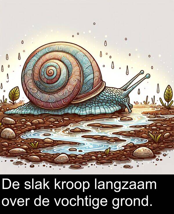 grond: De slak kroop langzaam over de vochtige grond.