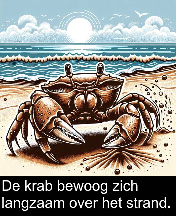 over: De krab bewoog zich langzaam over het strand.