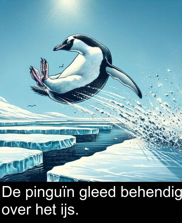 gleed: De pinguïn gleed behendig over het ijs.