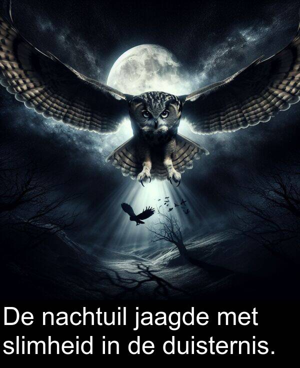 duisternis: De nachtuil jaagde met slimheid in de duisternis.