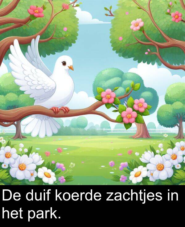 duif: De duif koerde zachtjes in het park.