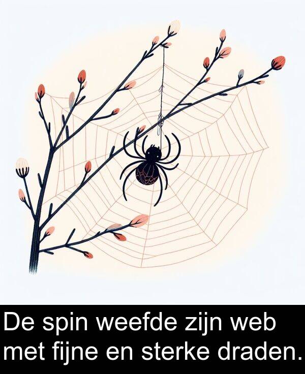 draden: De spin weefde zijn web met fijne en sterke draden.