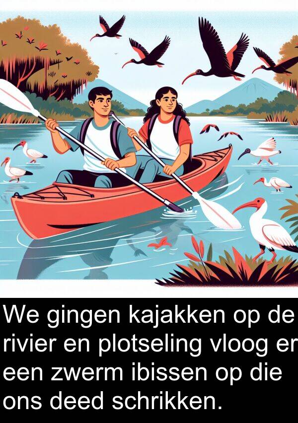 gingen: We gingen kajakken op de rivier en plotseling vloog er een zwerm ibissen op die ons deed schrikken.