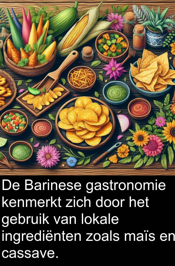 zoals: De Barinese gastronomie kenmerkt zich door het gebruik van lokale ingrediënten zoals maïs en cassave.