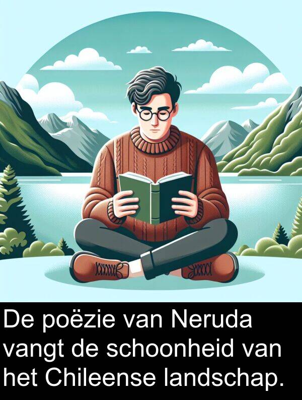 schoonheid: De poëzie van Neruda vangt de schoonheid van het Chileense landschap.