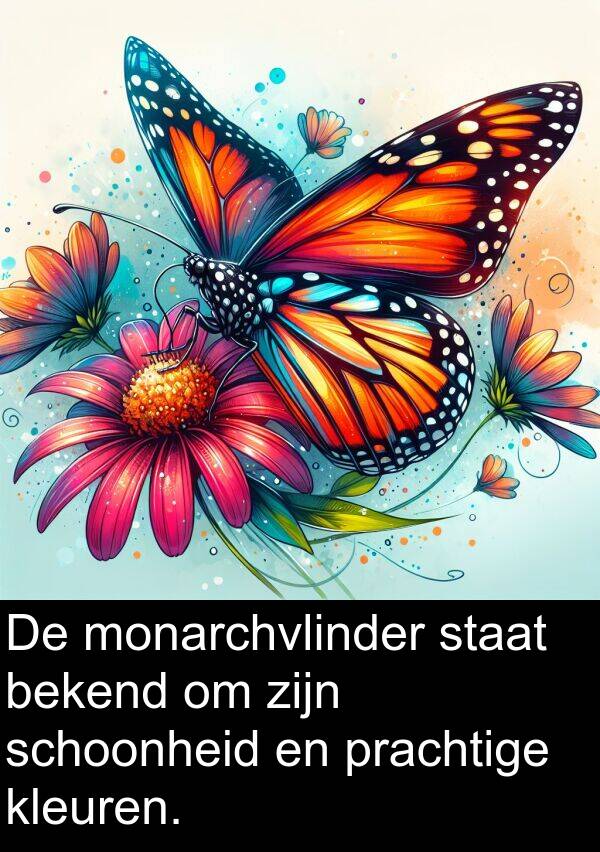 staat: De monarchvlinder staat bekend om zijn schoonheid en prachtige kleuren.