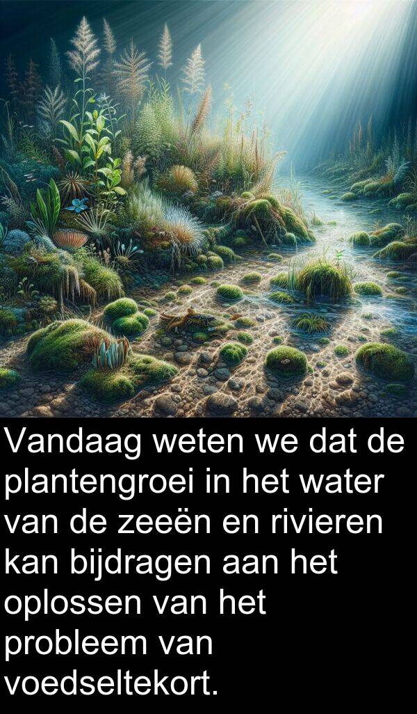 oplossen: Vandaag weten we dat de plantengroei in het water van de zeeën en rivieren kan bijdragen aan het oplossen van het probleem van voedseltekort.