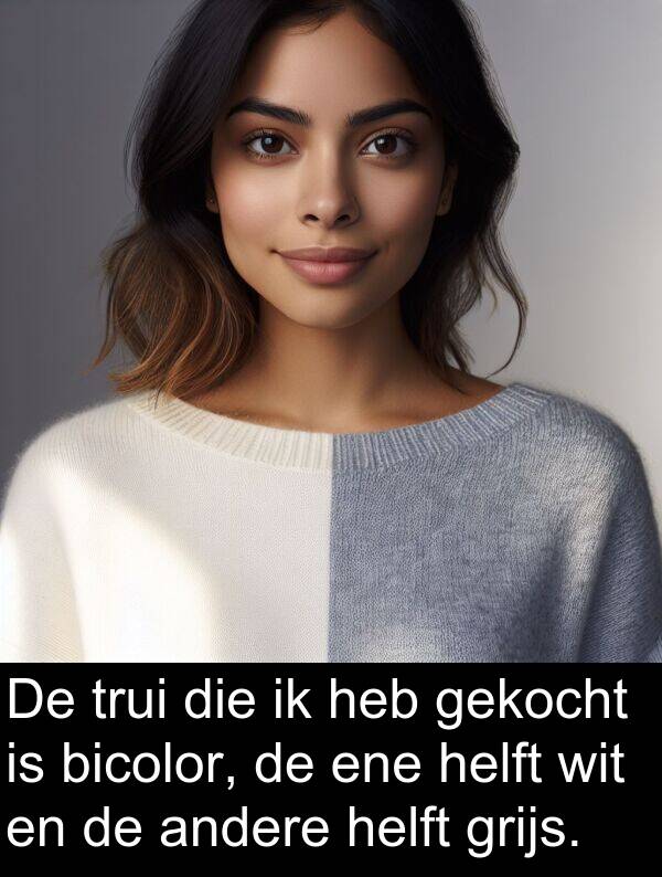 gekocht: De trui die ik heb gekocht is bicolor, de ene helft wit en de andere helft grijs.