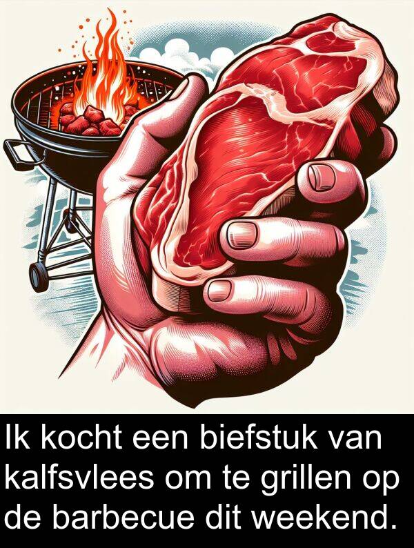 grillen: Ik kocht een biefstuk van kalfsvlees om te grillen op de barbecue dit weekend.