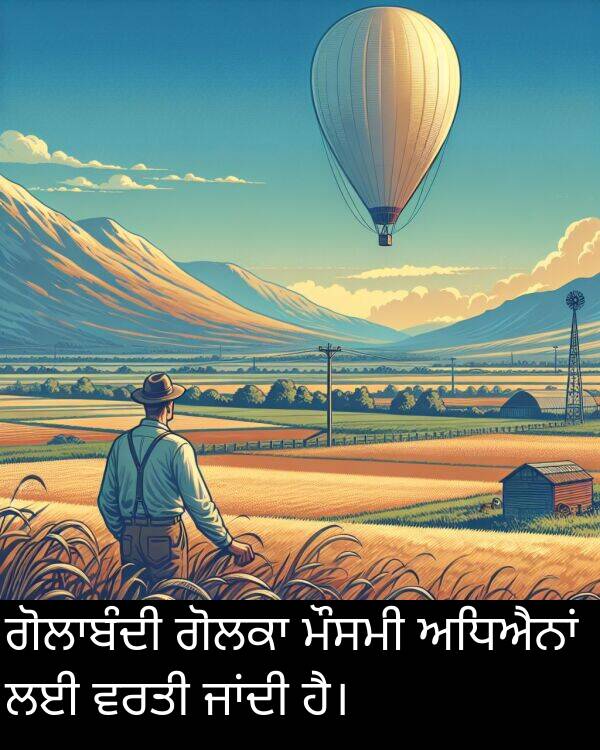 ਮੌਸਮੀ: ਗੋਲਾਬੰਦੀ ਗੋਲਕਾ ਮੌਸਮੀ ਅਧਿਐਨਾਂ ਲਈ ਵਰਤੀ ਜਾਂਦੀ ਹੈ।