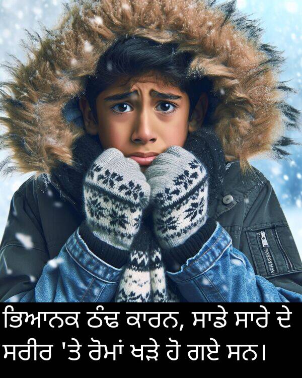 ਸਰੀਰ: ਭਿਆਨਕ ਠੰਢ ਕਾਰਨ, ਸਾਡੇ ਸਾਰੇ ਦੇ ਸਰੀਰ 'ਤੇ ਰੋਮਾਂ ਖੜੇ ਹੋ ਗਏ ਸਨ।
