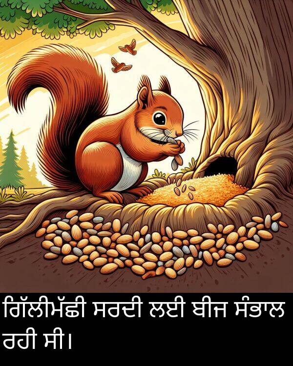 ਸੀ।: ਗਿੱਲੀਮੱਛੀ ਸਰਦੀ ਲਈ ਬੀਜ ਸੰਭਾਲ ਰਹੀ ਸੀ।