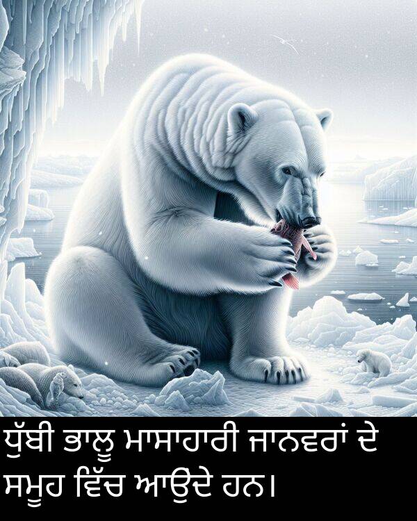 ਆਉਂਦੇ: ਧੁੱਬੀ ਭਾਲੂ ਮਾਸਾਹਾਰੀ ਜਾਨਵਰਾਂ ਦੇ ਸਮੂਹ ਵਿੱਚ ਆਉਂਦੇ ਹਨ।