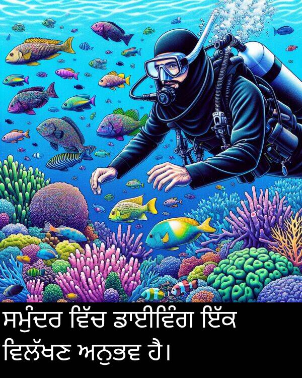 ਅਨੁਭਵ: ਸਮੁੰਦਰ ਵਿੱਚ ਡਾਈਵਿੰਗ ਇੱਕ ਵਿਲੱਖਣ ਅਨੁਭਵ ਹੈ।