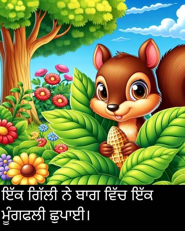 ਮੂੰਗਫਲੀ: ਇੱਕ ਗਿੱਲੀ ਨੇ ਬਾਗ ਵਿੱਚ ਇੱਕ ਮੂੰਗਫਲੀ ਛੁਪਾਈ।