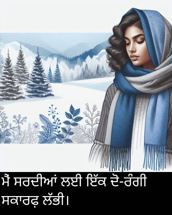 ਸਰਦੀਆਂ: ਮੈਂ ਸਰਦੀਆਂ ਲਈ ਇੱਕ ਦੋ-ਰੰਗੀ ਸਕਾਰਫ਼ ਲੱਭੀ।