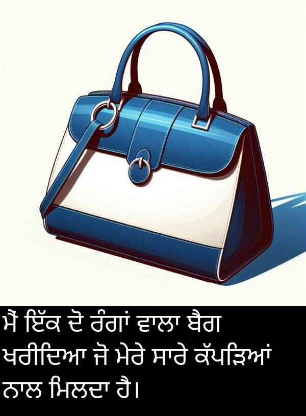 ਖਰੀਦਿਆ: ਮੈਂ ਇੱਕ ਦੋ ਰੰਗਾਂ ਵਾਲਾ ਬੈਗ ਖਰੀਦਿਆ ਜੋ ਮੇਰੇ ਸਾਰੇ ਕੱਪੜਿਆਂ ਨਾਲ ਮਿਲਦਾ ਹੈ।