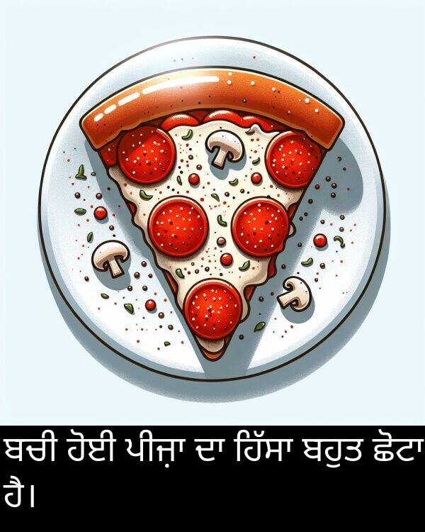 ਬਚੀ: ਬਚੀ ਹੋਈ ਪੀਜ਼ਾ ਦਾ ਹਿੱਸਾ ਬਹੁਤ ਛੋਟਾ ਹੈ।