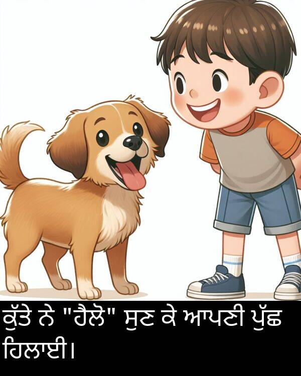 ਸੁਣ: ਕੁੱਤੇ ਨੇ "ਹੈਲੋ" ਸੁਣ ਕੇ ਆਪਣੀ ਪੁੱਛ ਹਿਲਾਈ।