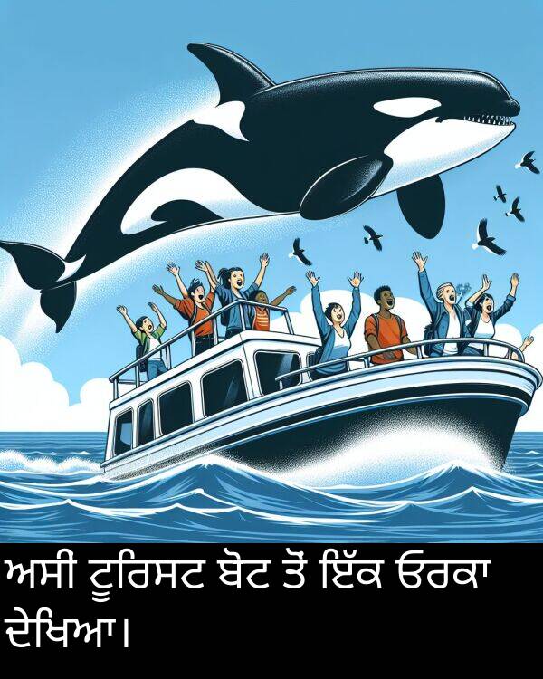 ਬੋਟ: ਅਸੀਂ ਟੂਰਿਸਟ ਬੋਟ ਤੋਂ ਇੱਕ ਓਰਕਾ ਦੇਖਿਆ।