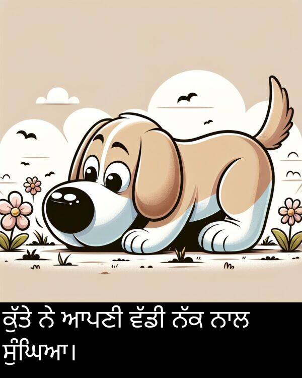 ਸੁੰਘਿਆ।: ਕੁੱਤੇ ਨੇ ਆਪਣੀ ਵੱਡੀ ਨੱਕ ਨਾਲ ਸੁੰਘਿਆ।
