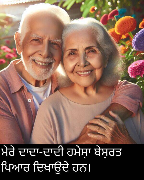 ਮੇਰੇ: ਮੇਰੇ ਦਾਦਾ-ਦਾਦੀ ਹਮੇਸ਼ਾ ਬੇਸ਼ਰਤ ਪਿਆਰ ਦਿਖਾਉਂਦੇ ਹਨ।