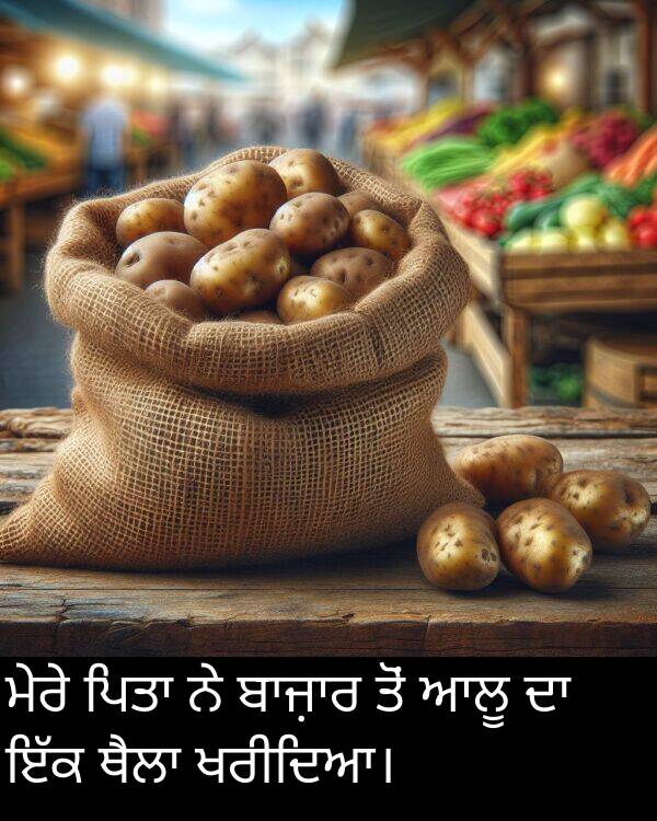 ਖਰੀਦਿਆ।: ਮੇਰੇ ਪਿਤਾ ਨੇ ਬਾਜ਼ਾਰ ਤੋਂ ਆਲੂ ਦਾ ਇੱਕ ਥੈਲਾ ਖਰੀਦਿਆ।