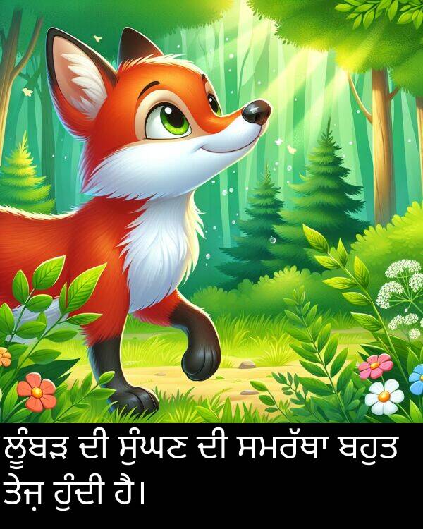 ਸੁੰਘਣ: ਲੂੰਬੜ ਦੀ ਸੁੰਘਣ ਦੀ ਸਮਰੱਥਾ ਬਹੁਤ ਤੇਜ਼ ਹੁੰਦੀ ਹੈ।