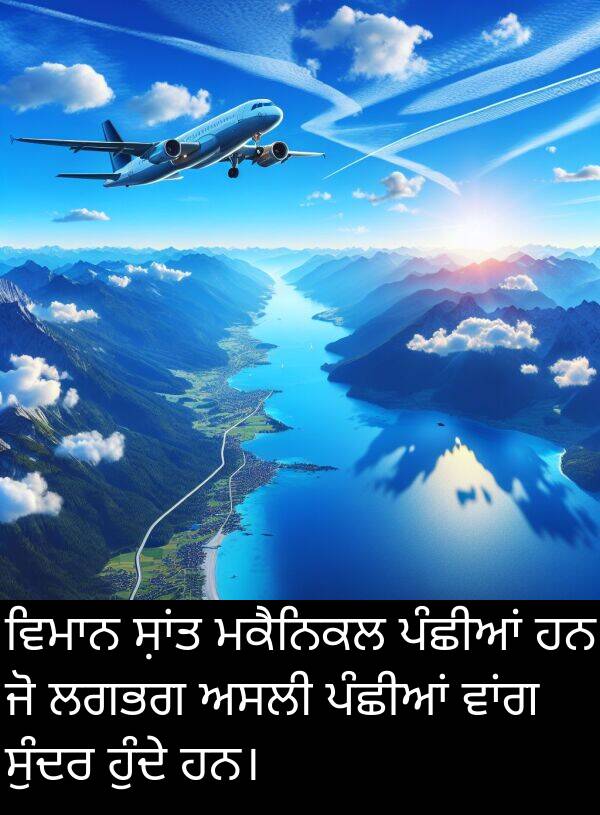 ਅਸਲੀ: ਵਿਮਾਨ ਸ਼ਾਂਤ ਮਕੈਨਿਕਲ ਪੰਛੀਆਂ ਹਨ ਜੋ ਲਗਭਗ ਅਸਲੀ ਪੰਛੀਆਂ ਵਾਂਗ ਸੁੰਦਰ ਹੁੰਦੇ ਹਨ।